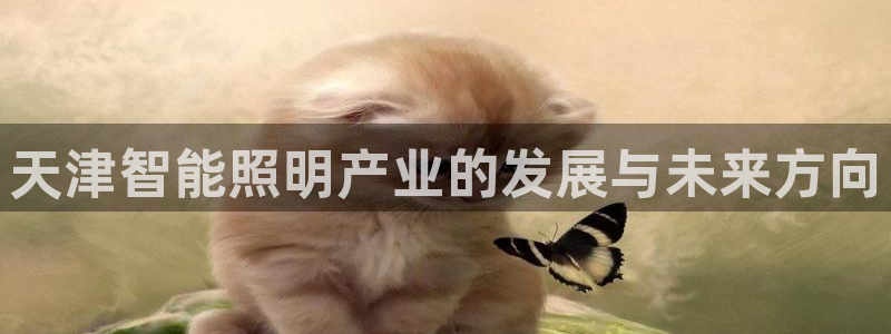 云顶国际服最新版
