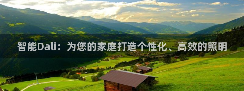 云顶集团账号怎么注册：智能Dali：为您