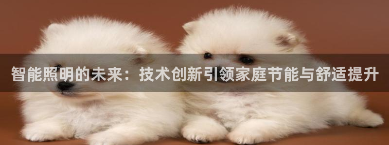 云顶国际在哪：智能照明的未来：技术创新引