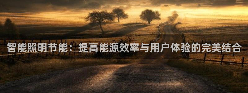 云顶国际官网下载：智能照明节能：提高能源